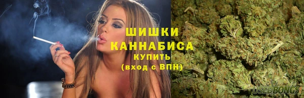 гидропоника Новозыбков