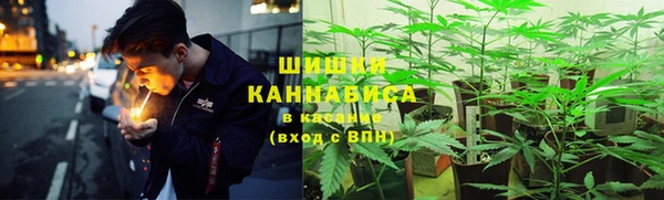 PSILOCYBIN Надым