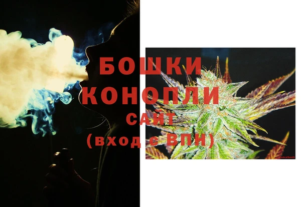 ПСИЛОЦИБИНОВЫЕ ГРИБЫ Дегтярск