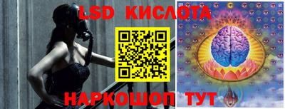 прущие грибы Бузулук