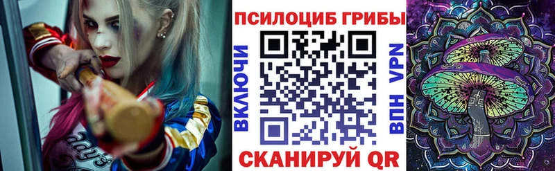 мориарти телеграм Качканар Галлюциногенные грибы мухоморы
