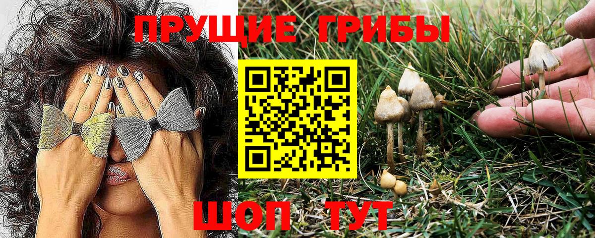 Псилоцибиновые грибы Качканар