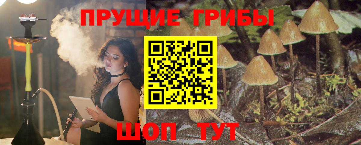 Псилоцибиновые грибы мухоморы  Галлюциногенные грибы MAGIC MUSHROOMS  Вход с VPN  хочу наркоту  Качканар 